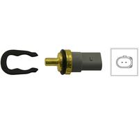 ECT-5503 KAVO PARTS Sensore, Temperatura refrigerante per AUDI,BENTLEY,CUPRA,DOD