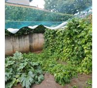 ECwtpndf Rete antigrandine da Giardino, Green Garden Netting for Hail Bird Ion, Multiple Sizes(5x20m)