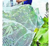 ECwtpndf Rete antigrandine da Giardino, Hail And Bird Ion Garden Netting Multiple Sizes(1x10 m)