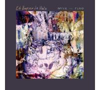 Ed Kuepper After the Flood (Vinyl LP) 12" Album
