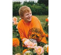 ED SHEERAN - Poster Rose Field - 22x34 - 24845