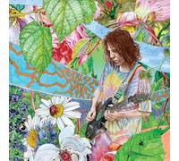 Ed Wynne – Shimmer Into Nature – Vinile LP 12" – Kscope