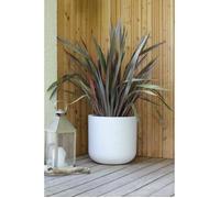 EDA PLASTIQUE - Pentola tonda 40 cm GraphitUp - 32,5 L - Bianco limato