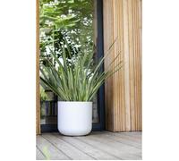 EDA PLASTIQUE - Pentola tonda 50 cm GraphitUp - 67 L - Bianco limato