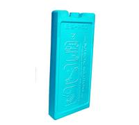 EDA SAC DE GLACE RIGIDE 200 G DIM. 16,5 X 7,4 X 2CM 10690 CX48