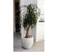 EDA Vaso di fiori Graphit Ø50cm