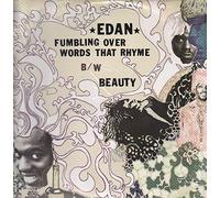 Edan - Fumbling Over the Words That..