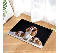 EdCott Cavalier King Charles Spanner interna tappetino camera letto tappeto bagno tappetino cucina porta mat esterno porta anteriore 40x60 cm famiglia quadrato opaco tappetino moda nuovo