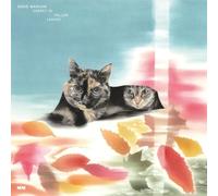 Eddie Marcon Carpet of Fallen Leaves (CD)