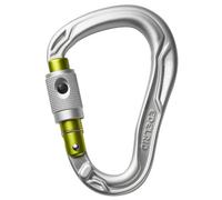 Edelrid HMS Bullet PermaLock - moschettone Grey/Light Green unisex