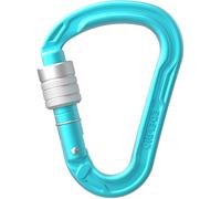 Edelrid HMS Strike Screw Moschettone, unisex, blu Onesize Icemint