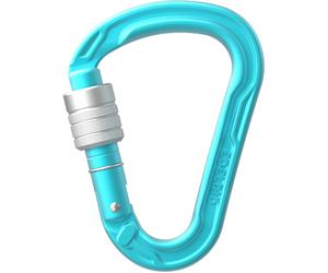 Edelrid HMS Strike Screw Moschettone, unisex, blu Onesize Icemint