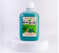 EdenColor | Eco Paint per tappeto erboso e prato naturale o sintetico | Greening fino a colorare gli spazi verdi | Vernice verde chiaro o scuro per piante marroni, palme, tuia, bosso | 1 litro