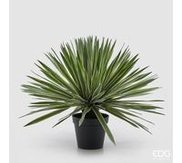 EDG Enzo De Gasperi Agave con Vaso Pianta Artificiale H 65 Cm Verde