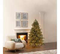 EDG Enzo De Gasperi Albero di Natale Pino Argentato 3.000 Led H 180 Cm D 135 Cm Ip44