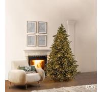 EDG Enzo De Gasperi Albero di Natale Pino Argentato 210x149cm con 4000 LED Reali