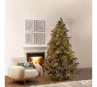 EDG - Enzo De Gasperi Albero di Natale Pino Argentato 5000 Mini LED in PE Verde D166xH240 cm