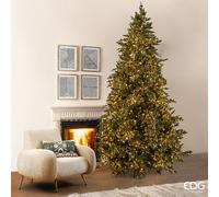 EDG Enzo De Gasperi Albero di Natale Pino Argentato 8.500 Led H 300 Cm D 192 Cm Ip 44 - ULTIMO PEZZO
