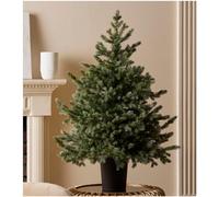 EDG Enzo de Gasperi Albero di Natale Pino Argentato con Vaso H120xD99 cm
