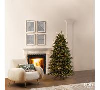 EDG Enzo De Gasperi Albero di Natale Pino Cristallo 1.500 MiniLed H 180 Cm D 112 Cm Ip44