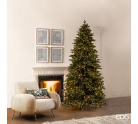 EDG Enzo De Gasperi Pino Cristallo 2.500 MiniLed H 240 Cm D 139 Cm Ip44