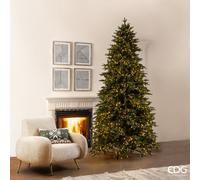 EDG Enzo De Gasperi Albero di Natale Pino Cristallo 3.100 MiniLed H 270 Cm D 151 Cm Ip 44