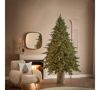 EDG Enzo De Gasperi Albero di Natale Pino Imperialnew 210x140cm con 4000 LED Realistico 2224 Rami 100% PE