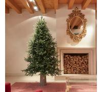 EDG Enzo De Gasperi Albero di Natale Pino Luxury 210x142cm Realistico Natural 3387 Rami