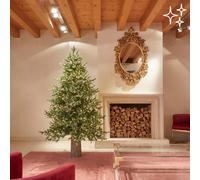 EDG_Enzo De Gasperi Albero di Natale Pino Luxury H 180 Cm D 136 Cm con 3.000 Led Verde - OFFERTA ULTIMO PEZZO