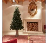 EDG Enzo De Gasperi Albero di Natale Pino Merano H 180 Cm D 117 Cm