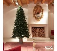 EDG Enzo De Gasperi Albero di Natale Pino Merano H 210 Cm D 132 Cm 1268 Tips