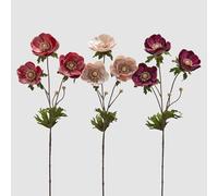 EDG Enzo De Gasperi Anemone Velluto Ramo con Foglie Ass. H 80 Cm Pink Mix 1 Pz