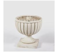 Base Coppa Per Pino 46x45 Cm **ULTIMO PEZZO**