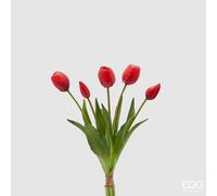 EDG Enzo De Gasperi Bouquet 5 Tulipani con Foglie H 40 Cm Red