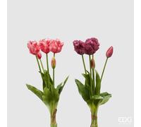 EDG Enzo De Gasperi Bouquet 5 Tulipani Parrot Olis Ass. H 40 Cm Two Tone Pink 1 Pz