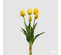 Edg - Enzo De Gasperi Tulipano Gomm. Olis Mazzo 5pz H. 40 Cm Giallo