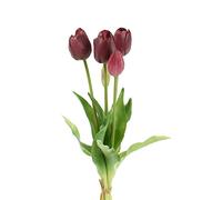 EDG Enzo de Gasperi Bouquet di tulipani Purple