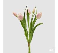 EDG Enzo De Gasperi Bouquete Tulipano Chiuso X4 H 40 Cm con Bocciolo Bianco Rosa