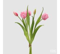 EDG Enzo De Gasperi Bouquete Tulipano Chiuso X4 H 40 Cm con Bocciolo Rosa Scuro