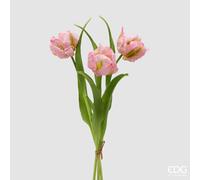 EDG Enzo De Gasperi Bouquete Tulipano Parrot X3 H 40 Cm con Bocciolo Rosa Crema