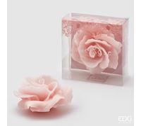EDG Enzo De Gasperi Candela Rosa Gall. D11 (No-Perlata) 8 Pale Pink