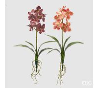 EDG Enzo De Gasperi Cespuglio Orchidea Vanda Artificiale con Foglio H 70 Cm Ass. Orange Mix 1 Pz