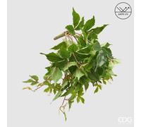 EDG Enzo De Gasperi Cissus Bell Cadente Anti-UV H 50 Cm Pianta Artificiale Verde