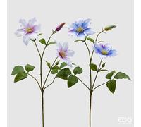 EDG Enzo De Gasperi Clematis con Foglie 2 Rami con Bocciolo 2 PZ Assortiti