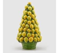 EDG Enzo De Gasperi Cono Limoni con Cesto H 76 Cm D 40 Cm Colore Giallo e Verde