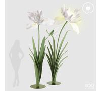 EDG Enzo De Gasperi Decoro Iris Jumbo Led 12V 300W H 280 cm L 160 Cm H 250 Cm L 140 Cm Bianco
