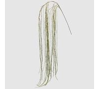 EDG Enzo De Gasperi Lycopodium Ramo L 186 Cm Colore Verde