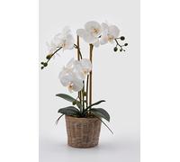 EDG Enzo De Gasperi Enzo De Gasperi Orchidea Phalaenopsis Pianta x2 Artificiale con Cesto H 40 Cm White