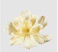 EDG Enzo De Gasperi Enzo De Gasperi Peonia Jumbo da Appendere H 70 Cm D 100 Cm Light Yellow