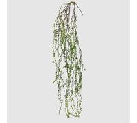 EDG Enzo De Gasperi Enzo De Gasperi Pilea Cadente H 145 Cm Colore Verde